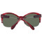 Serengeti Sunglasses SS529004 Vinita 53