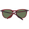 Serengeti Sunglasses SS483001 Arlie 52