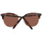 Serengeti Sunglasses 8941 Lela 50