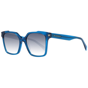 Ana Hickmann Sunglasses HI9170 T01 52