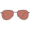 Serengeti Sunglasses SS543004 Haywood 56