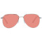 Serengeti Sunglasses SS544006 Haywood Small 55