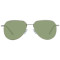 Serengeti Sunglasses SS544005 Haywood Small 55